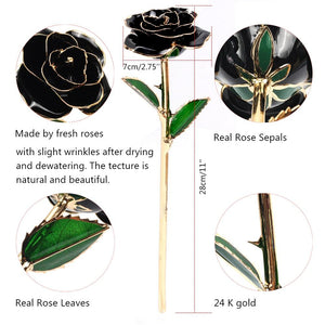 Preserved 24k Gold Long Stem Immortal Rose (3 Styles) 20 Variants NEW Colors 2024