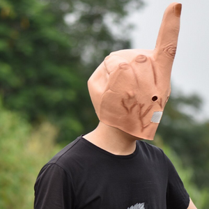 Rebellious Middle Finger Mask