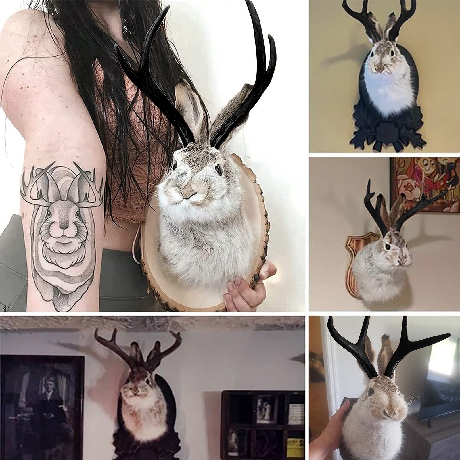 Faux Jackalope Taxidermy Wall Wood Plaque Mount Jack Rabbit Antlers ...