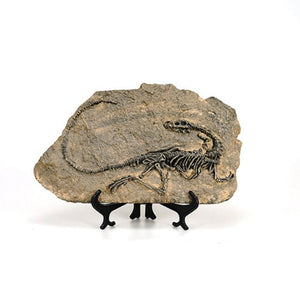Faux fossil