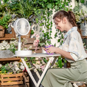 Portable Folding Fan (2 Options) with Remote Control