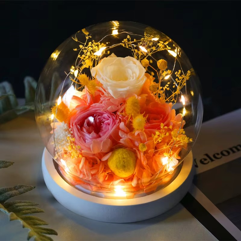 Immortal Enchanted Rose Glass Bubble Dome (5 Designs)