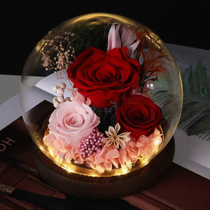 Immortal Enchanted Rose Glass Bubble Dome (5 Designs)