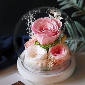 Immortal Enchanted Rose Glass Bubble Dome (5 Designs)