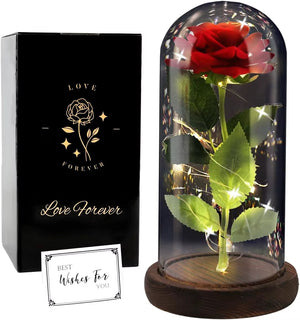 Enchanted Butterfly Galaxy Rose LED Glass Display (Pink Box)