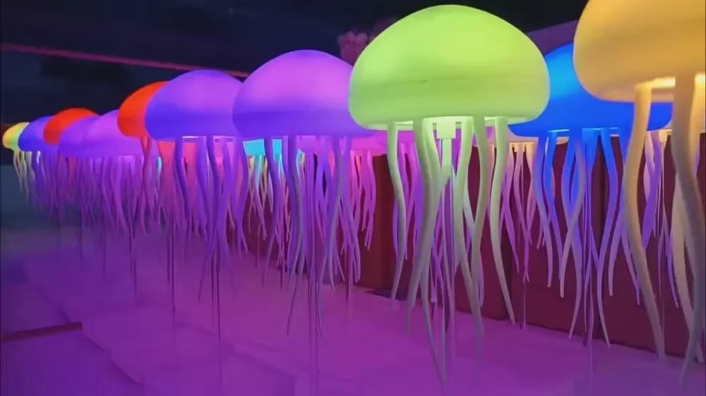 LED Dancing Jellyfish RGB Mood Night Light Lamp