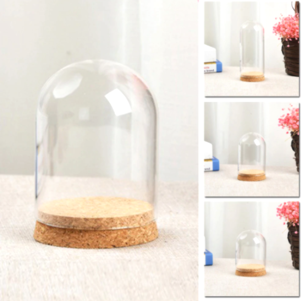 DIY Glass Dome Cover with wood base Display