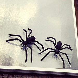 Giant 3D Spider Earrings