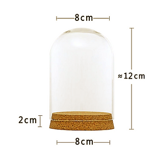 DIY Glass Dome Cover with wood base Display