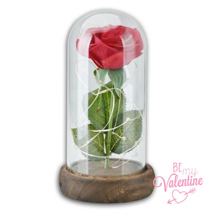 Black, White or Red Enchanted Rose LED Glass Display