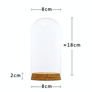 DIY Glass Dome Cover with wood base Display