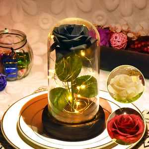 Black, White or Red Enchanted Rose LED Glass Display