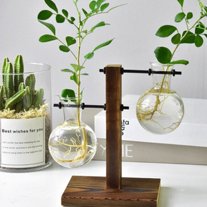 Hydroponics Terrarium Wooden Plant Vase (2 Style)