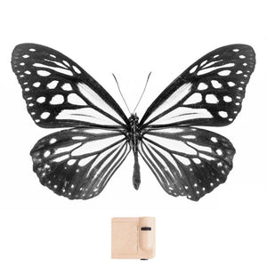 Butterfly Projector Lamp (2 Colors) Best Gift Shoppers 