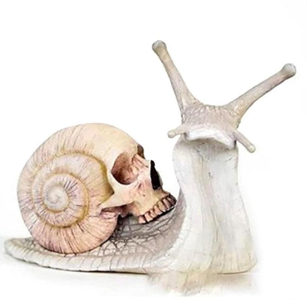 Skull snail
