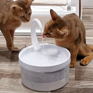 Pet Drinking Water Fountain (3 Options) with LED Sensor Motion