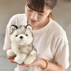 Cute Fluffy Husky Pillow Plush (Size 20CM-30CM)