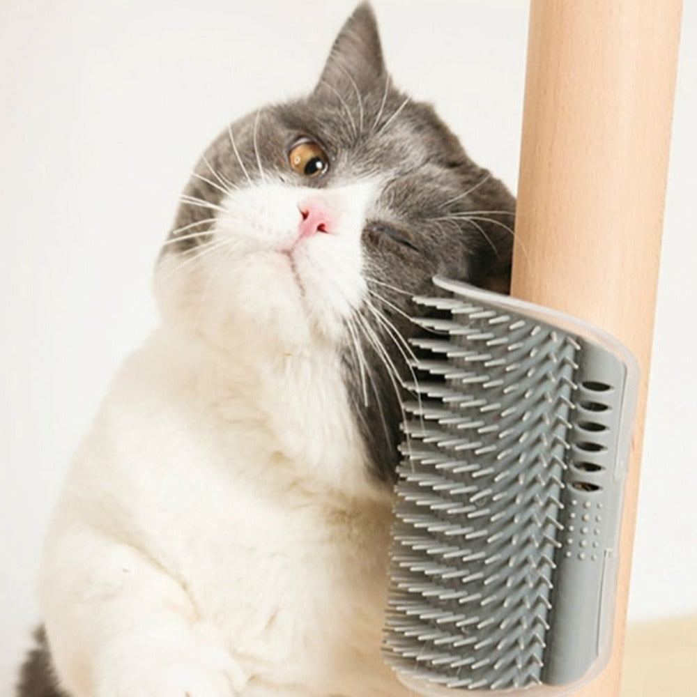 Pet Cat Face Scratcher Brush (12 Styles)