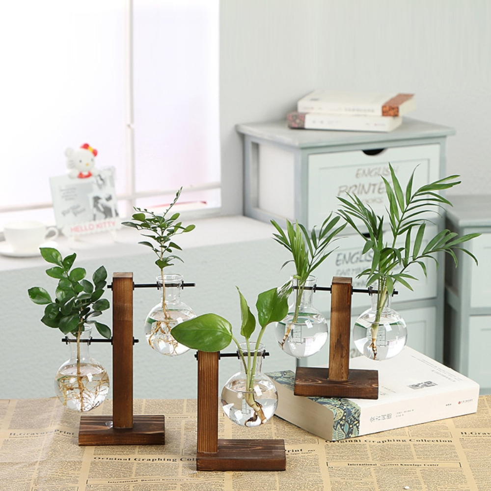 Hydroponics Terrarium Wooden Plant Vase (2 Style)