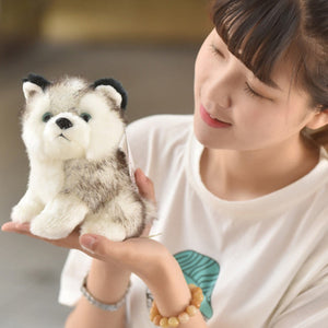 Cute Fluffy Husky Pillow Plush (Size 20CM-30CM)