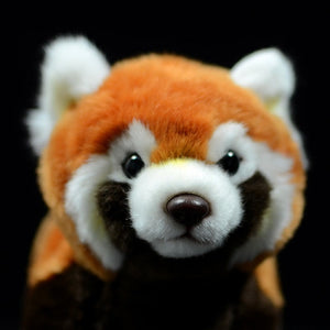 Kawaii Red Panda Cat Bear Squirrel Pillow Plush 3D Stuffed Animal Toys for kids Best Gift Shoppers Sleeping Friend