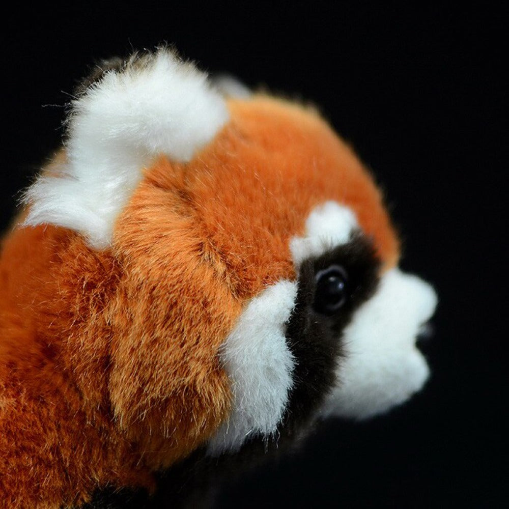 Kawaii Red Panda Cat Bear Squirrel Pillow Plush 3D Stuffed Animal Toys for kids Best Gift Shoppers