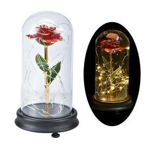 Immortal 24k Enchanted Rose LED Glass Display (5 Designs)
