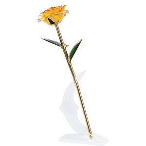 Preserved 24k Gold Long Stem Immortal Rose (16 Colors)