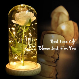 Black, White or Red Enchanted Rose LED Glass Display