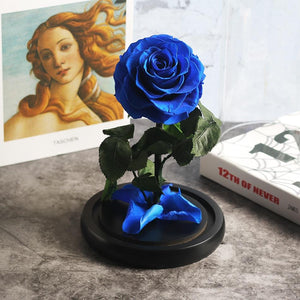 Immortal Enchanted Preserved Rose Glass Display (5 Colors)