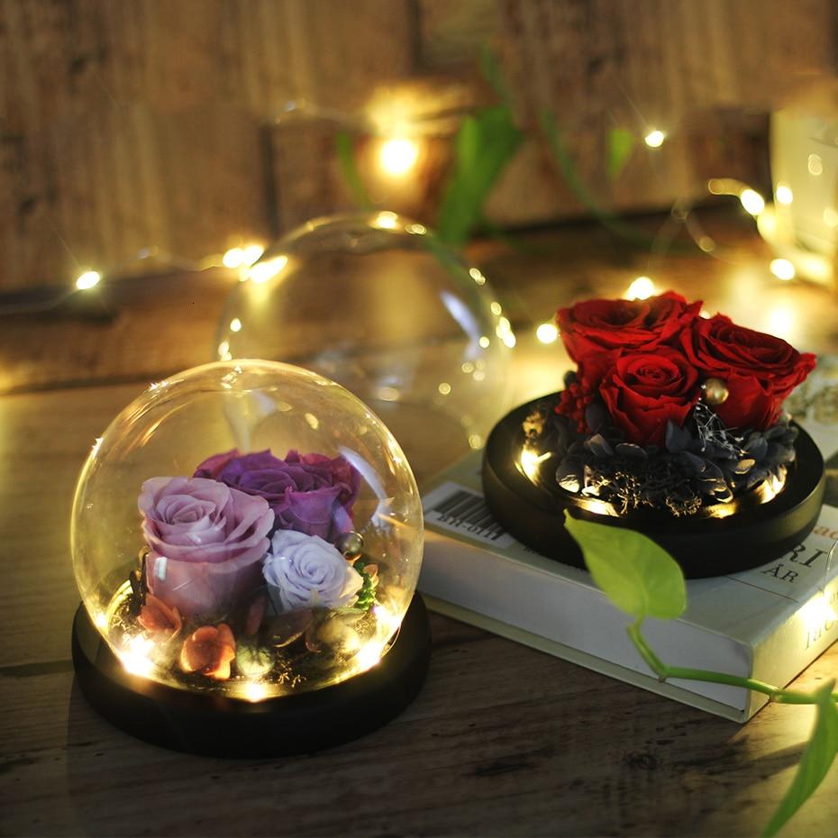 Immortal Enchanted Rose Glass Bubble Dome (5 Designs)