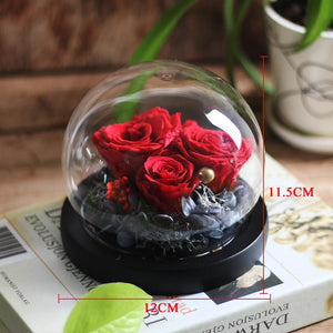 Immortal Enchanted Rose Glass Bubble Dome (5 Designs)