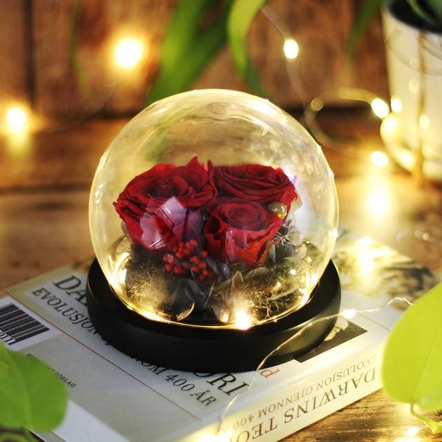 Immortal Enchanted Rose Glass Bubble Dome (5 Designs)