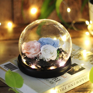 Immortal Enchanted Rose Glass Bubble Dome (5 Designs)