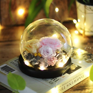 Immortal Enchanted Rose Glass Bubble Dome (5 Designs)