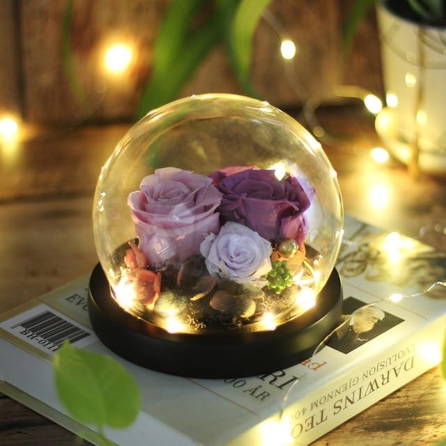 Immortal Enchanted Rose Glass Bubble Dome (5 Designs)