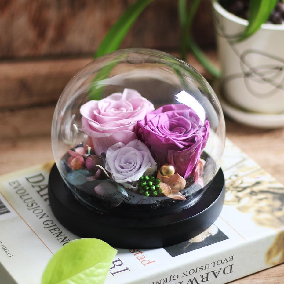 Immortal Enchanted Rose Glass Bubble Dome (5 Designs)