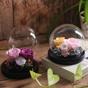 Immortal Enchanted Rose Glass Bubble Dome (5 Designs)