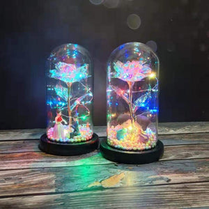 Rainbow Orbs Galaxy Enchanted Rose LED Glass Display (7 Designs)