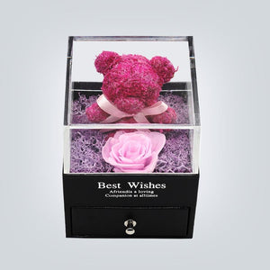 Immortal Preserved Rose Teddy Bear Box Display (22 Styles) With Bear or Without