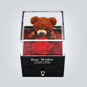 Immortal Preserved Rose Teddy Bear Box Display (22 Styles) With Bear or Without