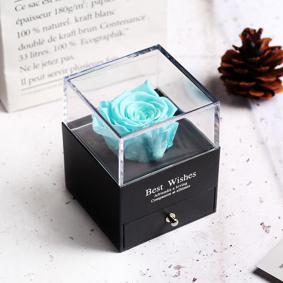 Immortal Preserved Rose Teddy Bear Box Display (22 Styles) With Bear or Without