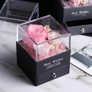 Immortal Preserved Rose Teddy Bear Box Display (22 Styles) With Bear or Without