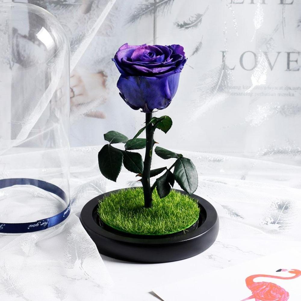 Immortal Enchanted Preserved Rose Glass Display w/Grass (4 Colors)