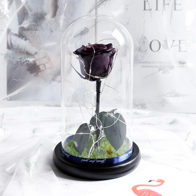 Immortal Enchanted Preserved Rose Glass Display w/Grass (4 Colors)