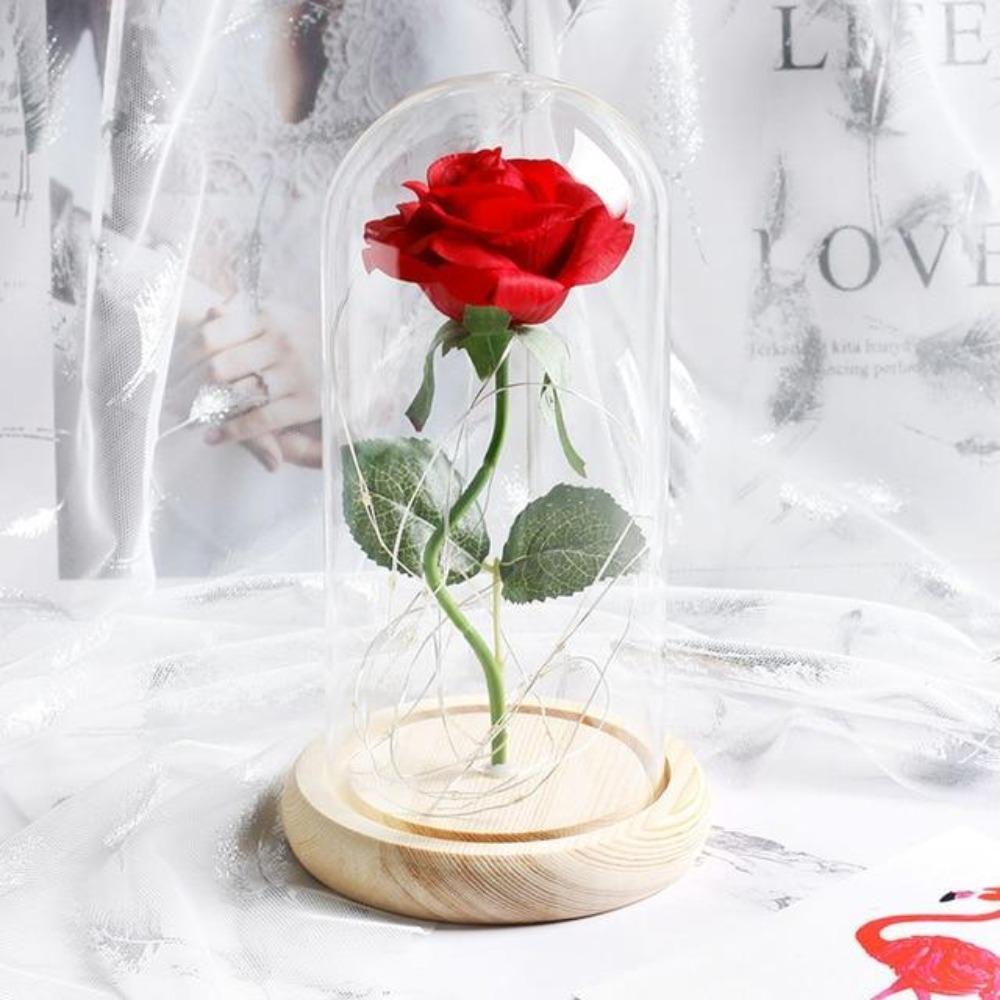 Immortal Enchanted Preserved Rose Glass Display w/Grass (4 Colors)