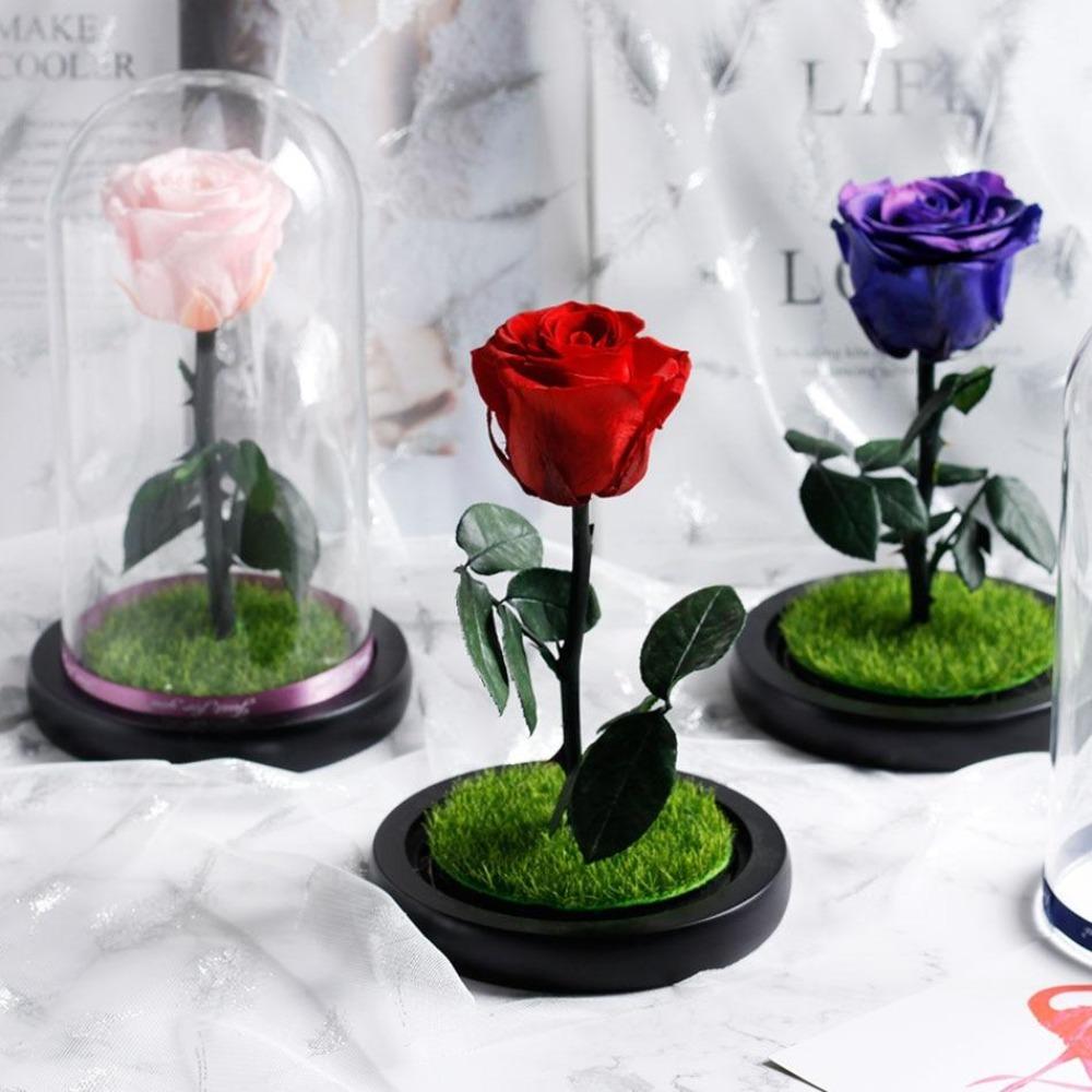 Immortal Enchanted Preserved Rose Glass Display w/Grass (4 Colors)