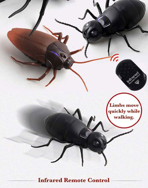 Remote Control Giant Bug (Spider, Roach or Ant)