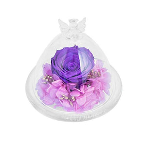 Guardian Angel Immortal Enchanted Preserved Rose Glass Display (12 Colors)