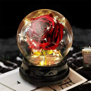 Crystal Ball Enchanted Red Rose LED Glass Display
